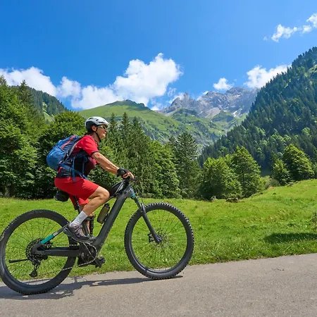 Apartment Fewo-bergromantik Mit Kostenlosen Sommerbergbahntickets Oberstdorf