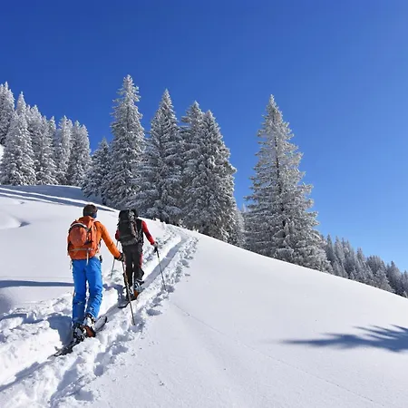 Fewo-Bergromantik Mit Sauna, Pool Und Kostenlosen Sommerbergbahntickets اوبرستدورف